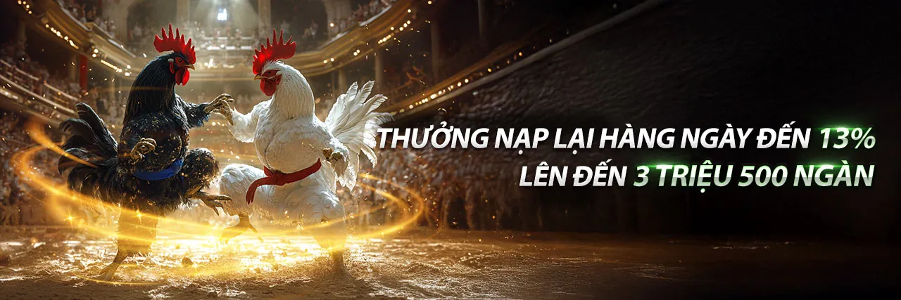 Đá Gà Trực Tuyến Tải Hi2999
