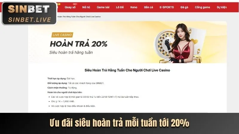 Hướng dẫn tận dụng ưu đãi tại tải hi2999
